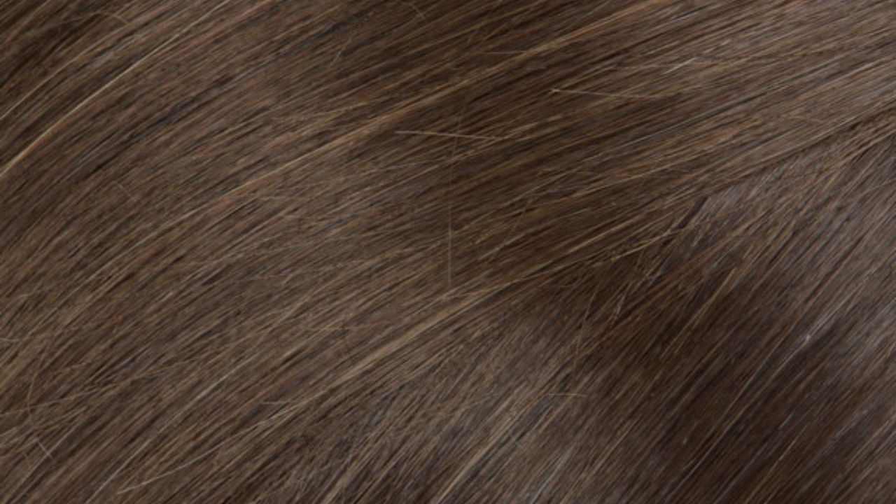 close up photo of cashmere hair classic clip-in extensions